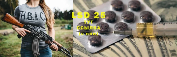 не бодяженный Бородино