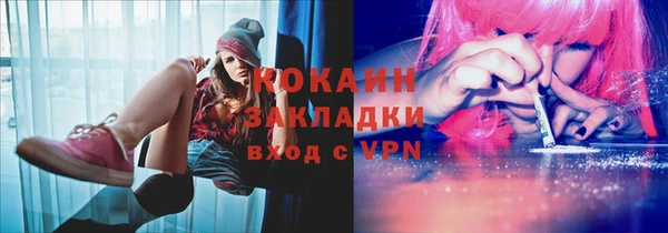 не бодяженный Бородино