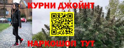 шишки Можайск
