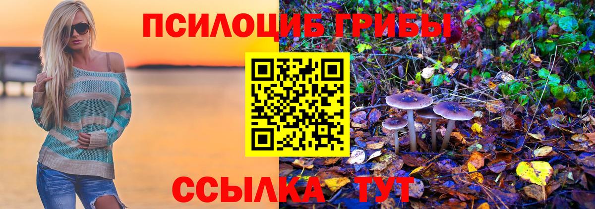 Бузулук  Псилоцибиновые грибы Cubensis  Вход с VPN 